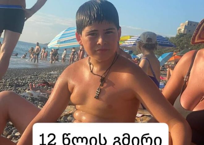 12 წლის ბიჭმა  დედა-შვილი დახრჩობას გადაარჩინა