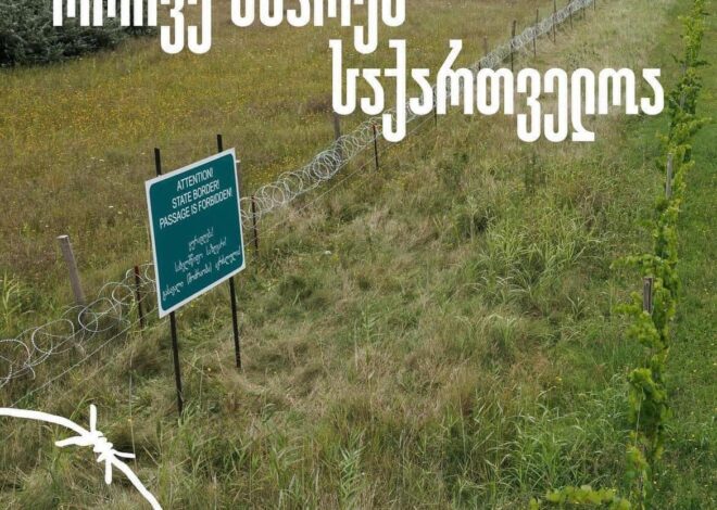 ორივე მხარეს საქართველოა