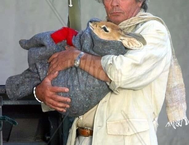 “აღარ არსებობს პატივისცემა ყველაფერი   ყალბია, მხოლოდ  ფულს აქვს მნიშვნელობა”-ალენ  დელონი