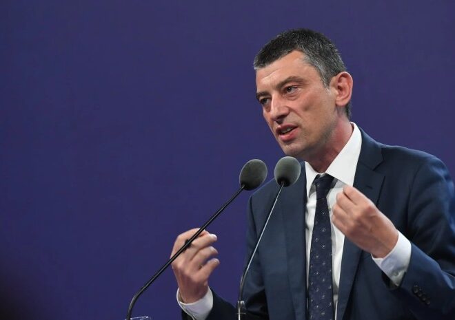 გიორგი გახარიას   სისხლის სამართლებრივი დევნა დაიწყო, რაც სასჯელის ზომად 13 წლამდე პატიმრობას ითვალისწინებს