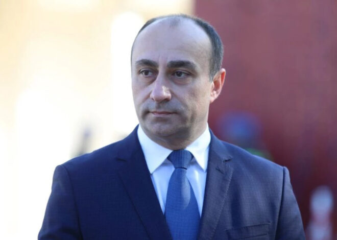 სახელმწიფო უსაფრთხოების სამსახურის უფროსის თანამდებობაზე გეკა გელაძე დაინიშნა