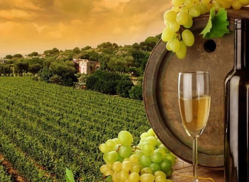 პირი, რომელიც ვენახს თვითნებურად გააშენებს, ვერ შეძლებს მიღებული ყურძნის ან წარმოებული ღვინის კომერციულ რეალიზაციას