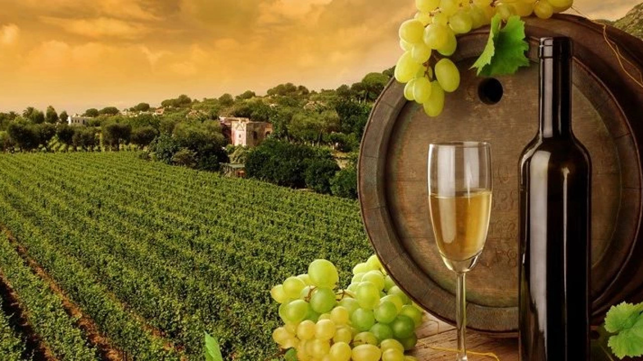 პირი, რომელიც ვენახს თვითნებურად გააშენებს, ვერ შეძლებს მიღებული ყურძნის ან წარმოებული ღვინის კომერციულ რეალიზაციას