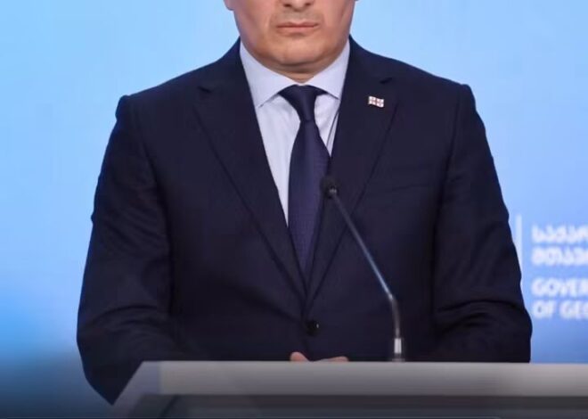 მამუკა მდინარაძე პოლიტიკიდან წავიდა
