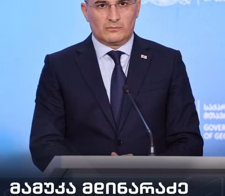 მამუკა მდინარაძე პოლიტიკიდან წავიდა
