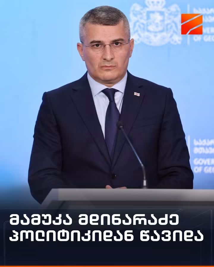 მამუკა მდინარაძე პოლიტიკიდან წავიდა